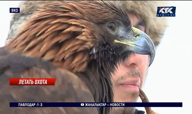 В ВКО свое мастерство показали беркутчи из Казахстана, Кыргызстана и Монголии