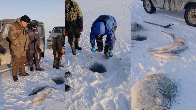 65 кг рыбы изъяли у браконьера в Жетысуской области 