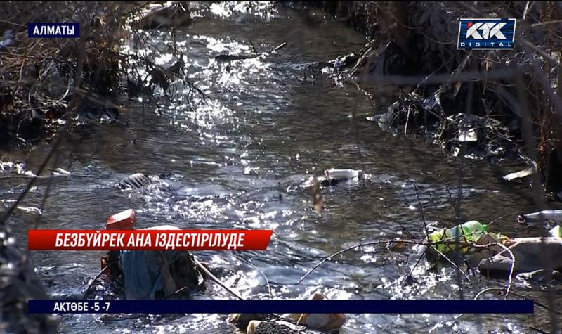 Іздеу: Алматыда жаңа туған нәрестесін лақтырып кеткен