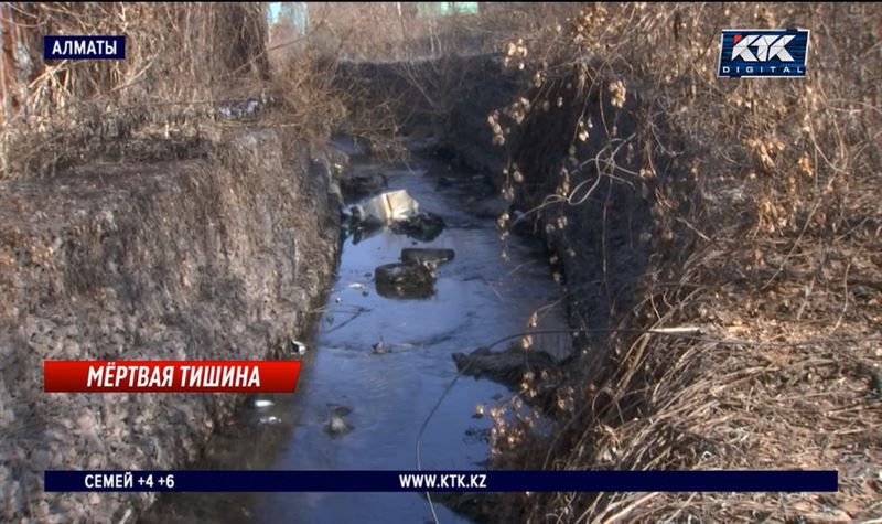 «Пуповина еще не обрезанная» – о страшной находке в реке Алматы рассказали очевидцы