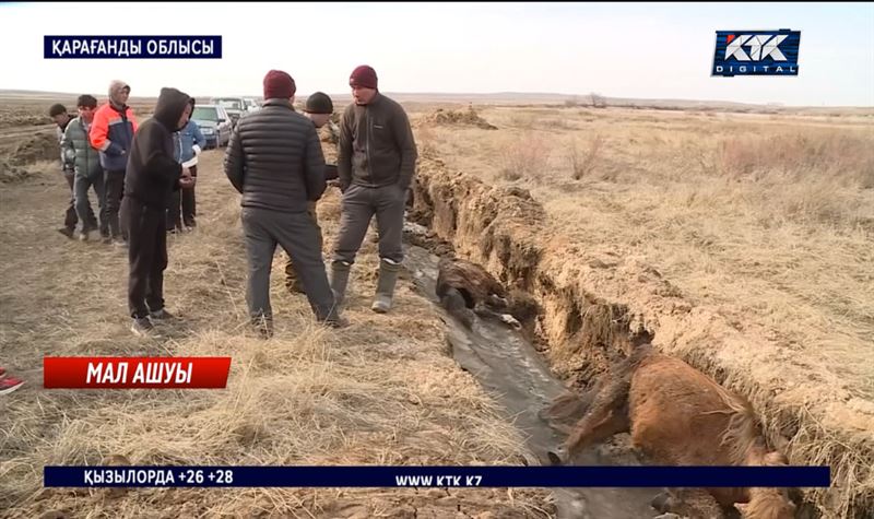 Қарағанды облысында кәсіпкер мен тұрғындар арасындағы дау өршіді 