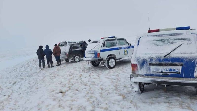 Пропавшая ранее женщина найдена мертвой в степи Павлодарской области