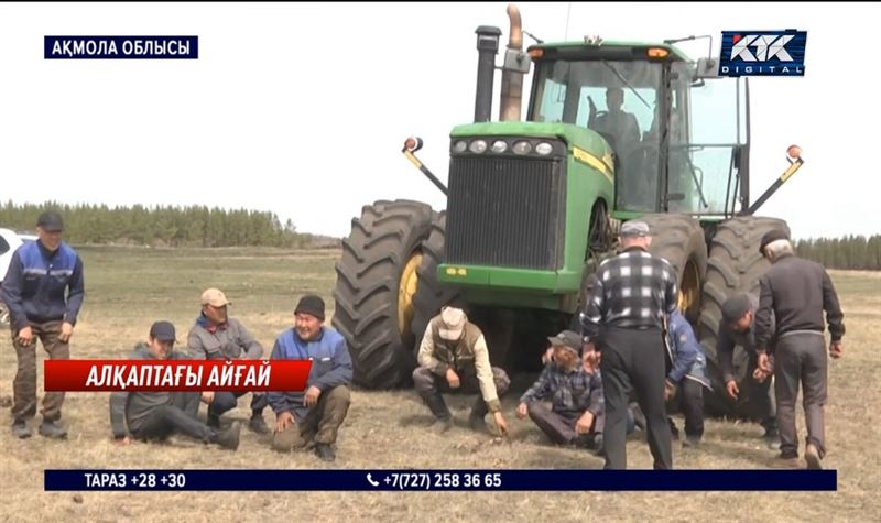 Ақмола облысында көктемгі егіс айғай шумен басталды