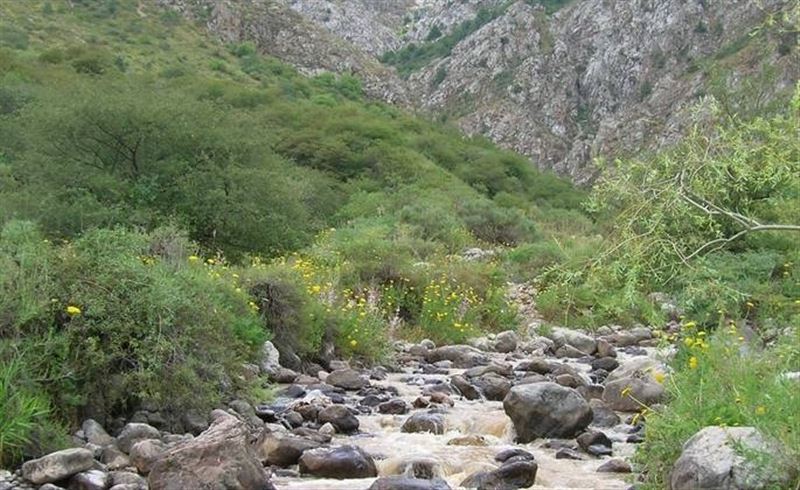 Туриста спасли в горах Туркестанской области