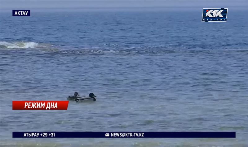 Введение режима ЧС в Актау не связано с отключением воды – акимат