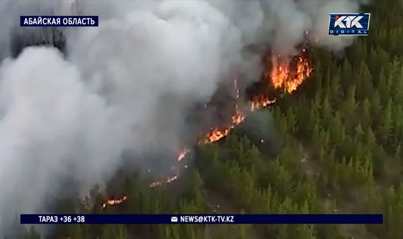 Уникальный сосновый бор опять горит в Абайской области