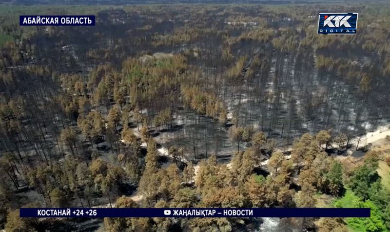 В абайской зоне бедствия надеются на прогноз синоптиков 