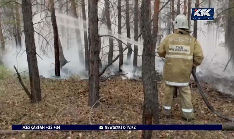 Абай облысындағы өртке қатысты бірқатар лауазымды тұлғадан жауап алынады 