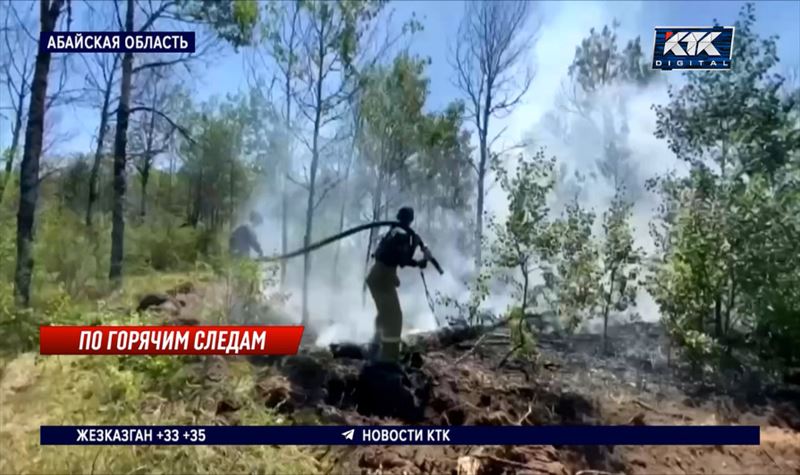 Минэкологии и МЧС грозит дополнительная проверка 