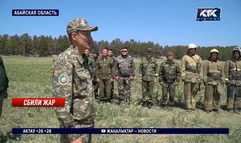 Пожар в Абайской области удалось локализовать