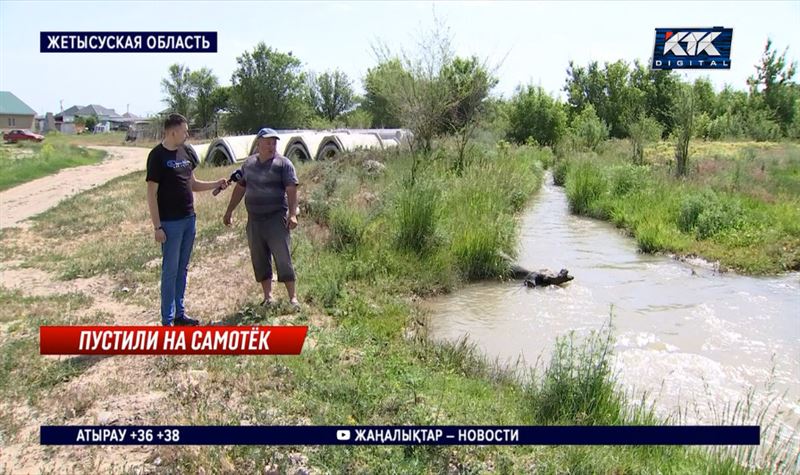 Жетысуские фермеры могут потерять урожай из-за дефицита воды