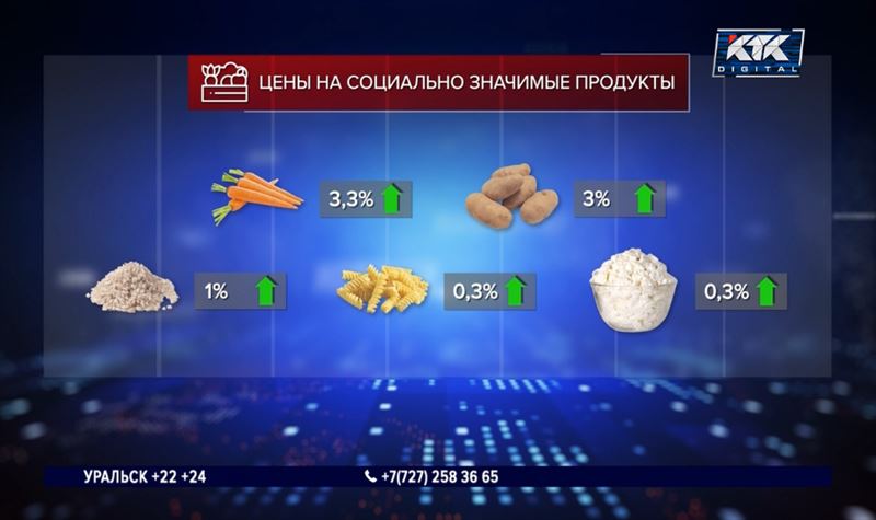 Какие социально значимые продукты подешевели, а какие подорожали