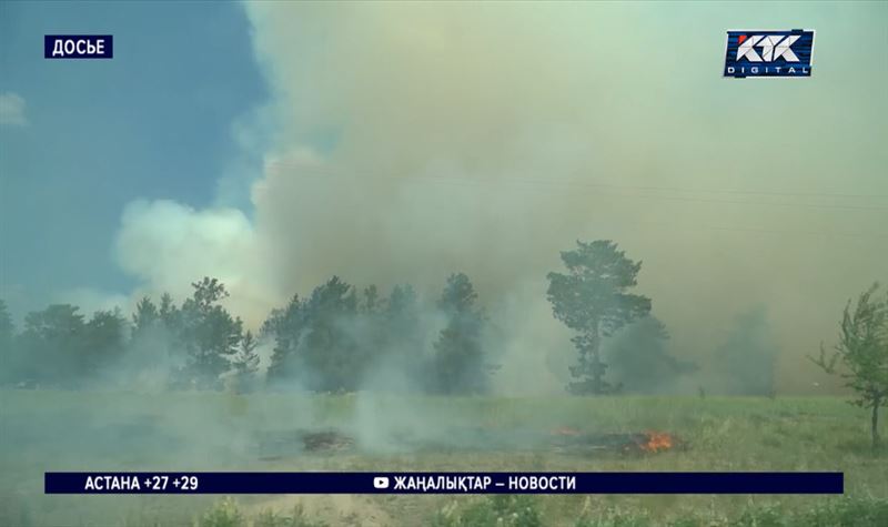 Новый природный пожар в Абае: горят 200 гектаров