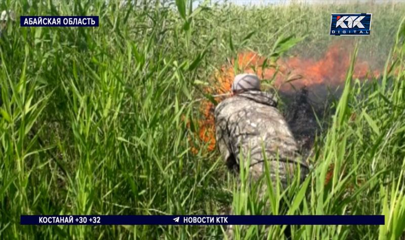 В Абае удалось потушить горевший три дня камыш