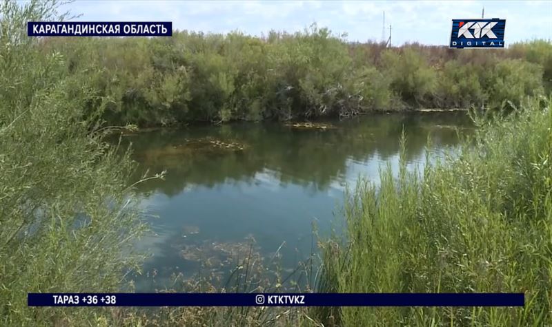 В Мажилисе предложили создать ведомство, отвечающее за водные ресурсы