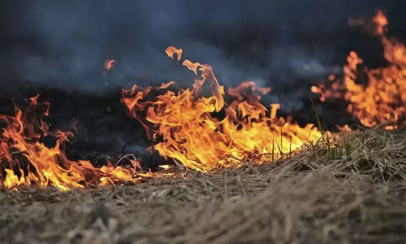 Каспий жағалауындағы қамыс өртіне 500 тонна су төгілді, от ошағы әлі бықсып жатыр 