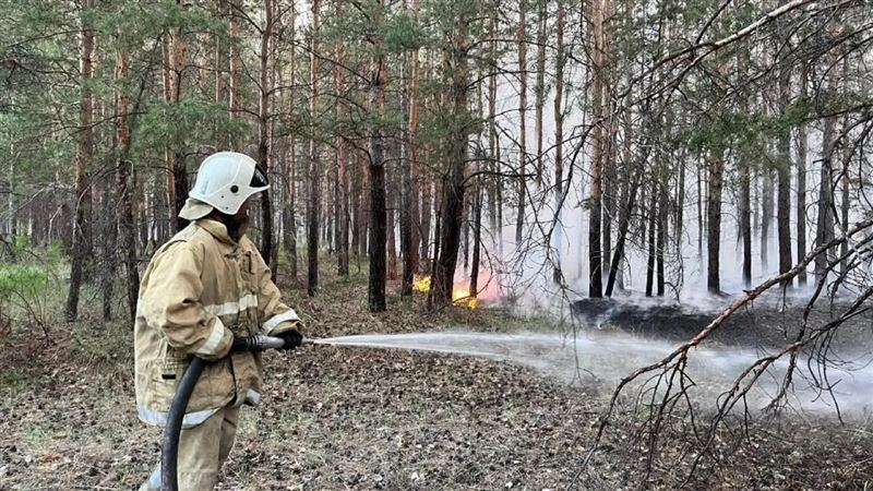 Пожар в «Семей орманы» удалось локализовать