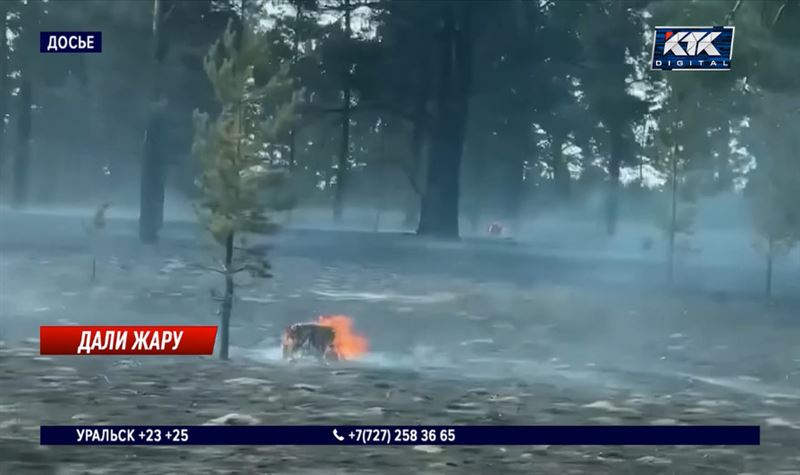 Отдыхающих эвакуировали из-за очередного лесного пожара в Абайской области 
