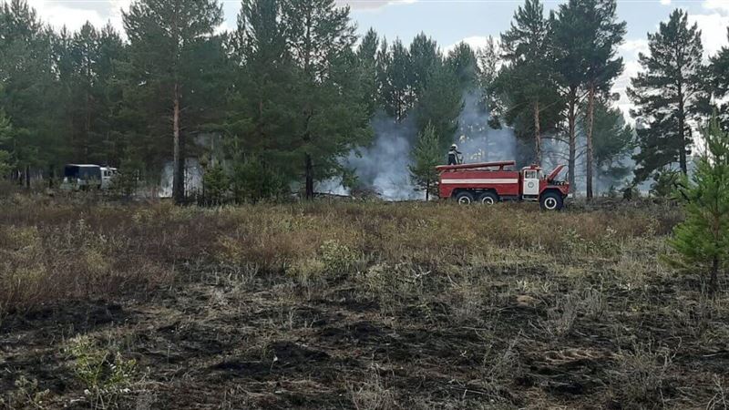 Лесной пожар в «Семей орманы» в Абайской области ликвидирован