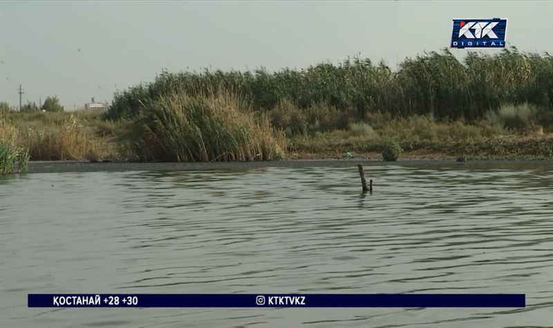 Екі баланың өліміне жемқорлық себеп