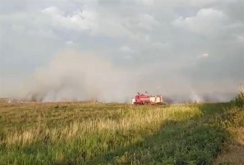 Астана маңында 4 гектарды шарпыған қамыс өрті сөндірілді