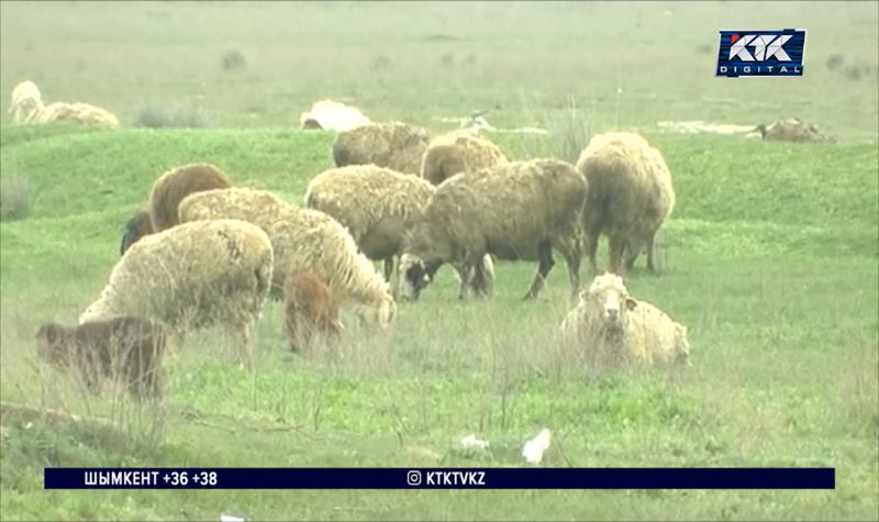 В Казахстане возвращено государству около 8 миллионов гектаров сельхозземель