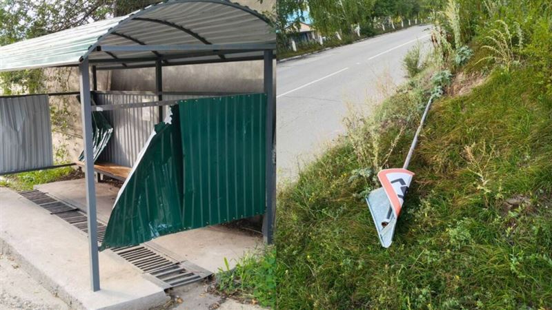 Трое парней, веселья ради, разгромили остановку в ВКО