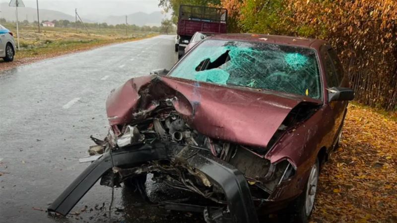 Четверо детей пострадали в крупном ДТП в Жетысу