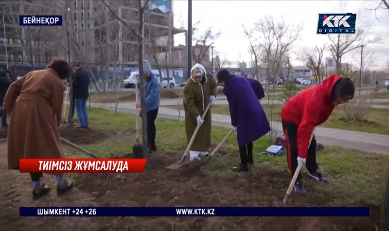 Рәсуа миллиардтар: Елімізде егілген әр үшінші ағаш шықпай қалады