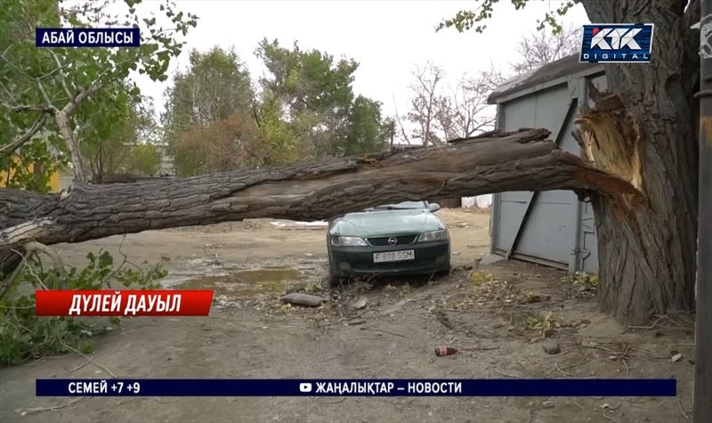 Абай облысының тұрғындары дауылда сақ болсын