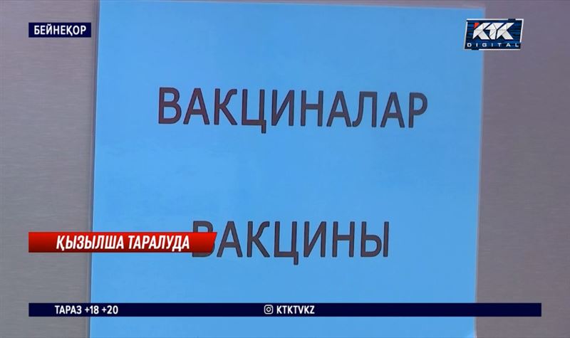 Астанада қызылша өршіп барады. Иммунизация 6 қарашада басталады 