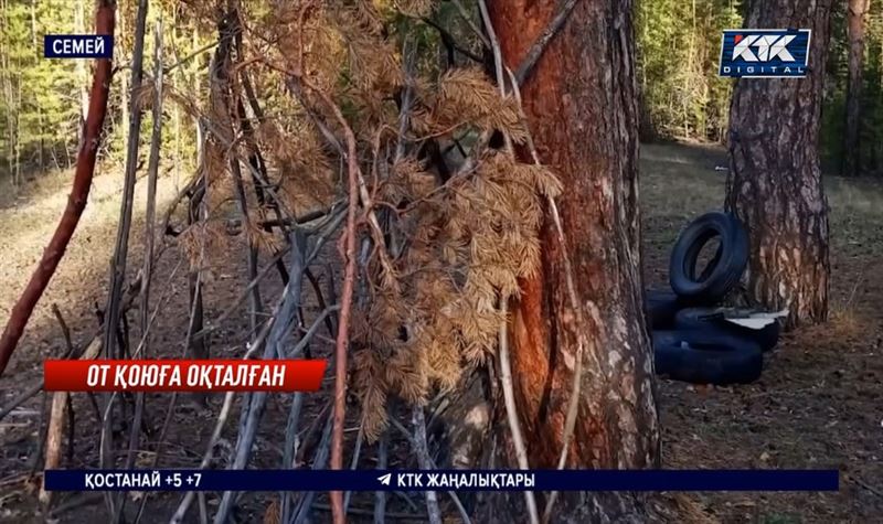 Семейде орман өртемекші болған қаскөй іздестіріліп жатыр