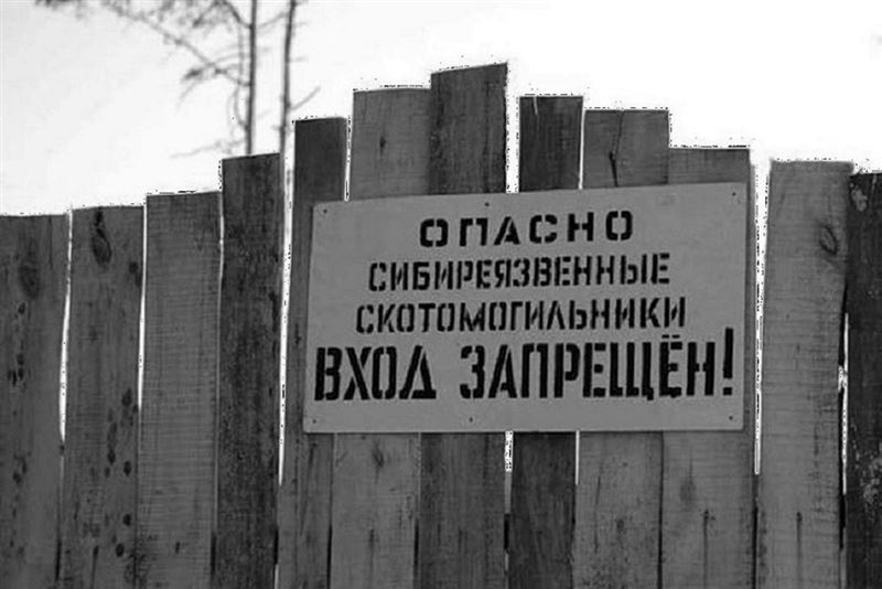 Акиматы районов ВКО выдавали земли под пастбища и строительство вблизи сибиреязвенных захоронений