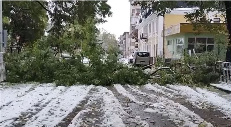 Болгарияда кенеттен күн бұзылып, дауылдан екі адам көз жұмды