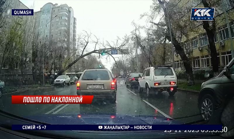 Упавший дуб раздавил автомобиль на оживленной улице в Алматы