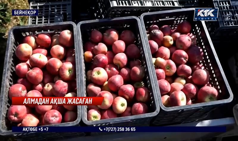 Жамбыл облысында бұрынғы аудан әкімі мемлекет қаражатын 7 жыл бойы жымқырып келген