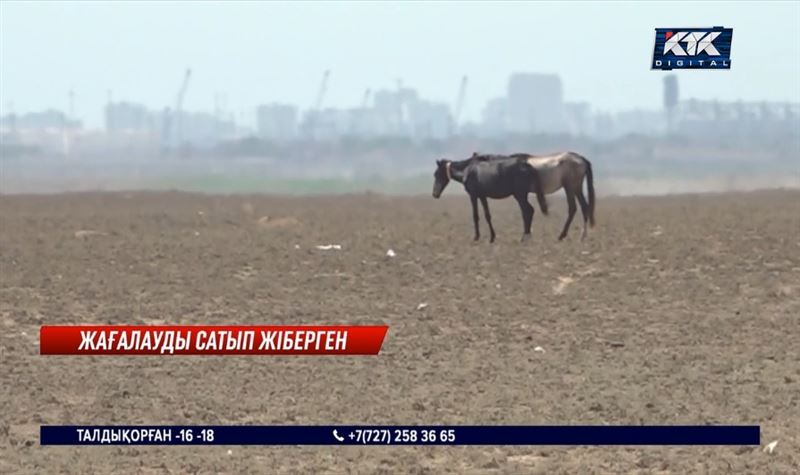 Каспий жағалауында 3,5 мың гектар жер мемлекетке қайтарылды