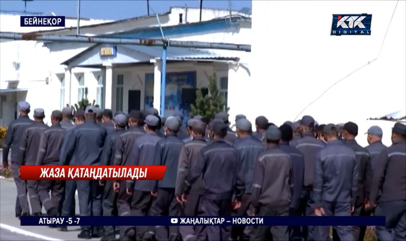 Педофилдер өмір-бақи бостандығынан айырылады, әйелін сабағандар да сотталады 