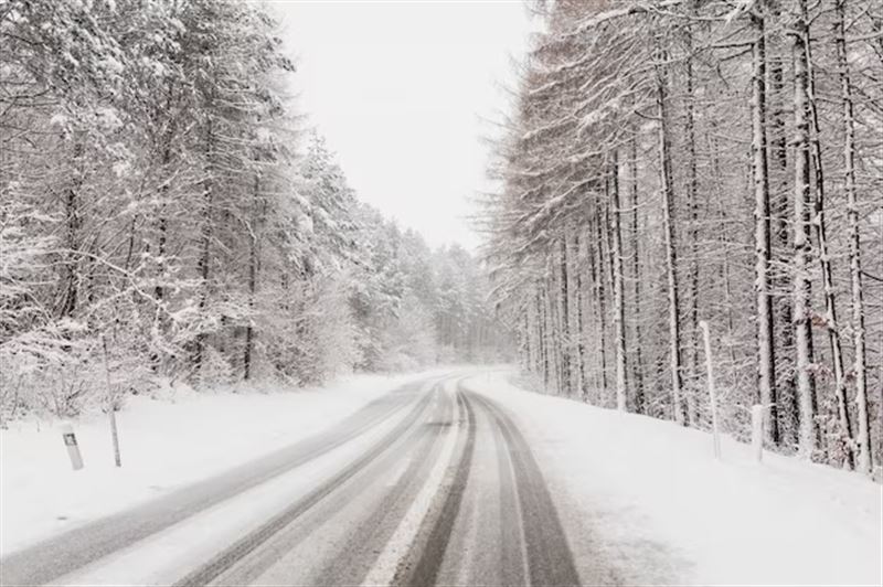 Жамбыл облысында қар құрсауынан 7 адам құтқарылды