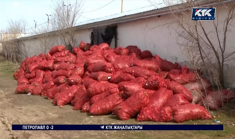 Жамбыл облысында қоймаларда мыңдаған тонна пияз шіріп жатыр