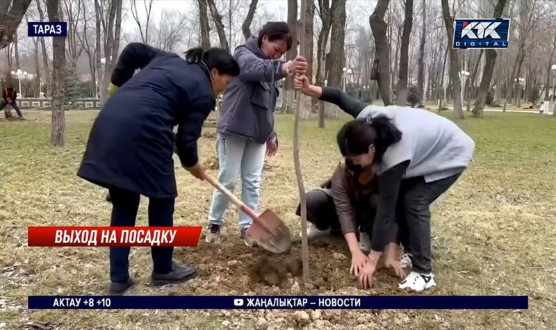 День обновления: сотни саженцев появились на казахстанских улицах