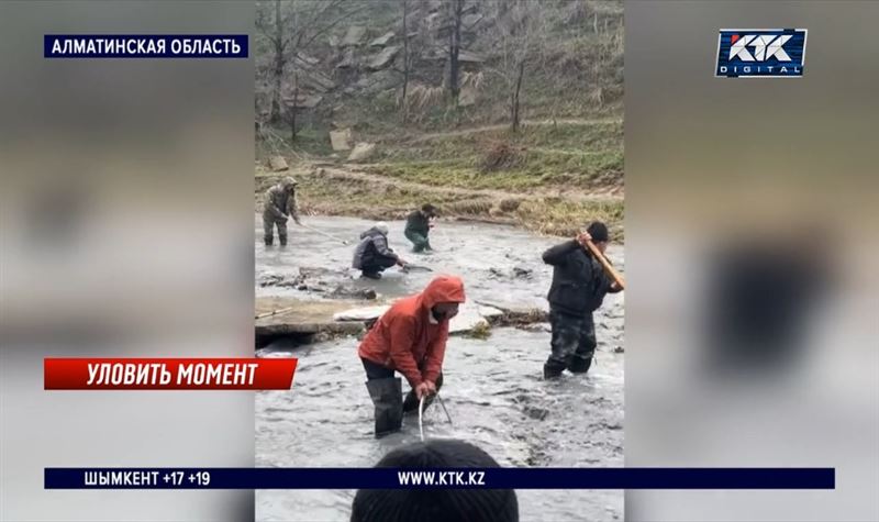 Голыми руками ловят рыбу после прорыва дамбы на Ворошиловском озере близ Алматы