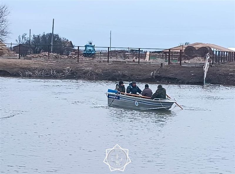 Подробности нападения на спасателя озвучили в МЧС