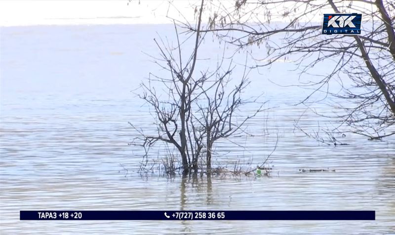 Уровень воды в Урале достиг 6 метров, и это еще не предел