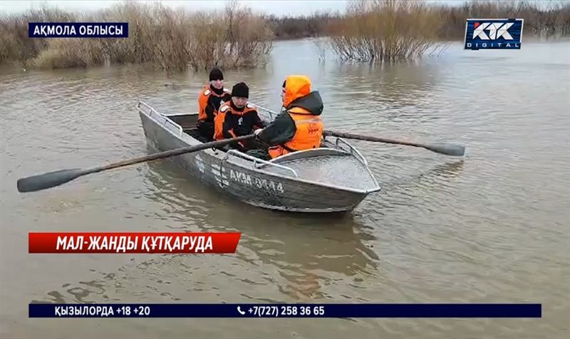 Есіл арнасынан асып, тұрғындар қауіпсіз жерге көшірілуде