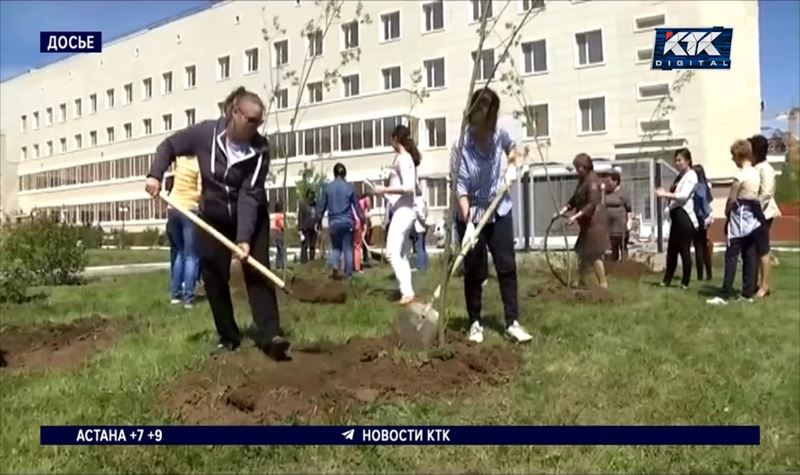 Президент обязал акимов заняться благоустройством и озеленением