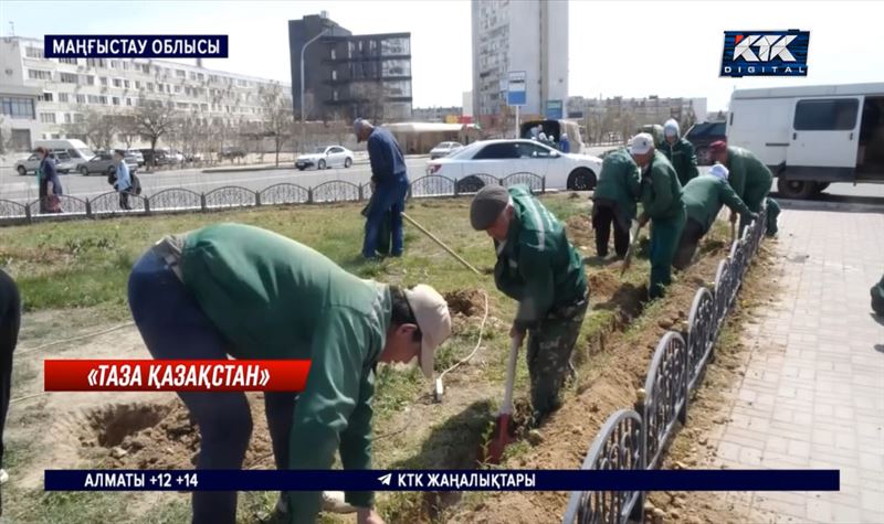 Ақтауда бір ай бойы абаттандыру жұмыстары жасалады 