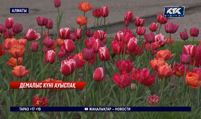 Демалыс күні ауыспақ