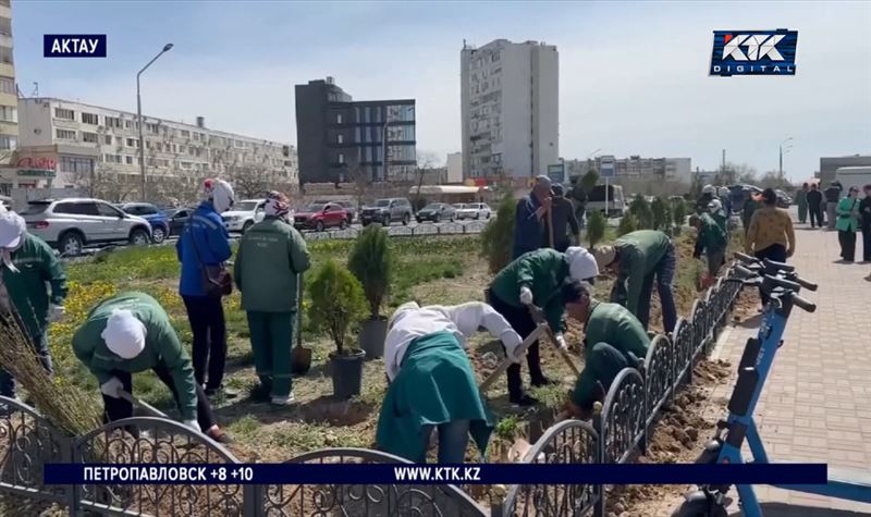 Каждый день высаживать по 300 деревьев собрались актаусцы