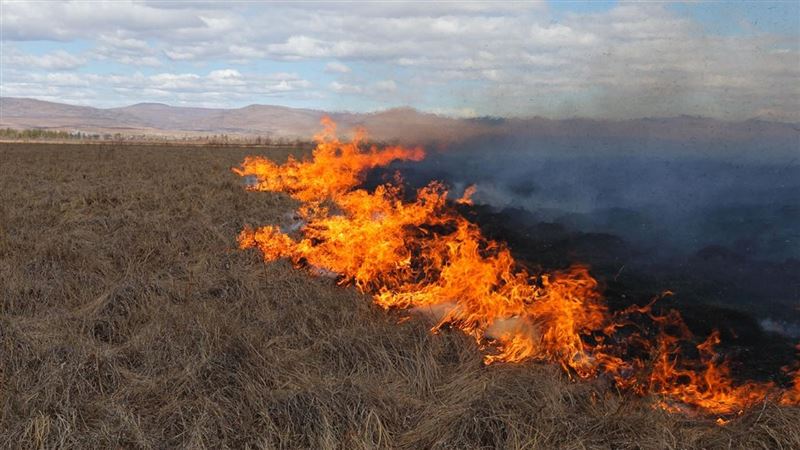 Жазда еліміздің біраз бөлігінде өрт қаупі жоғары – Қазгидромет